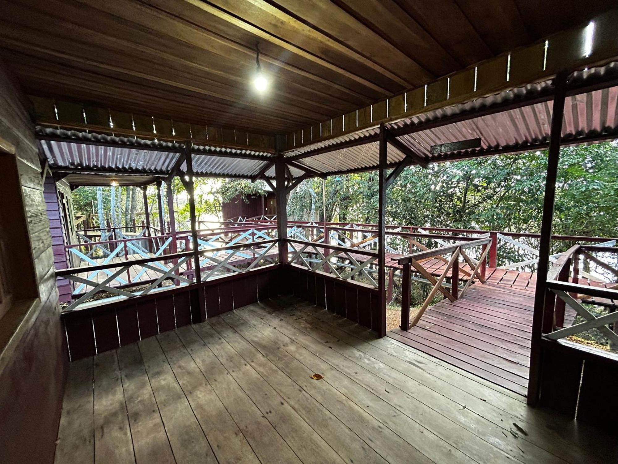 Vista Do Jungle