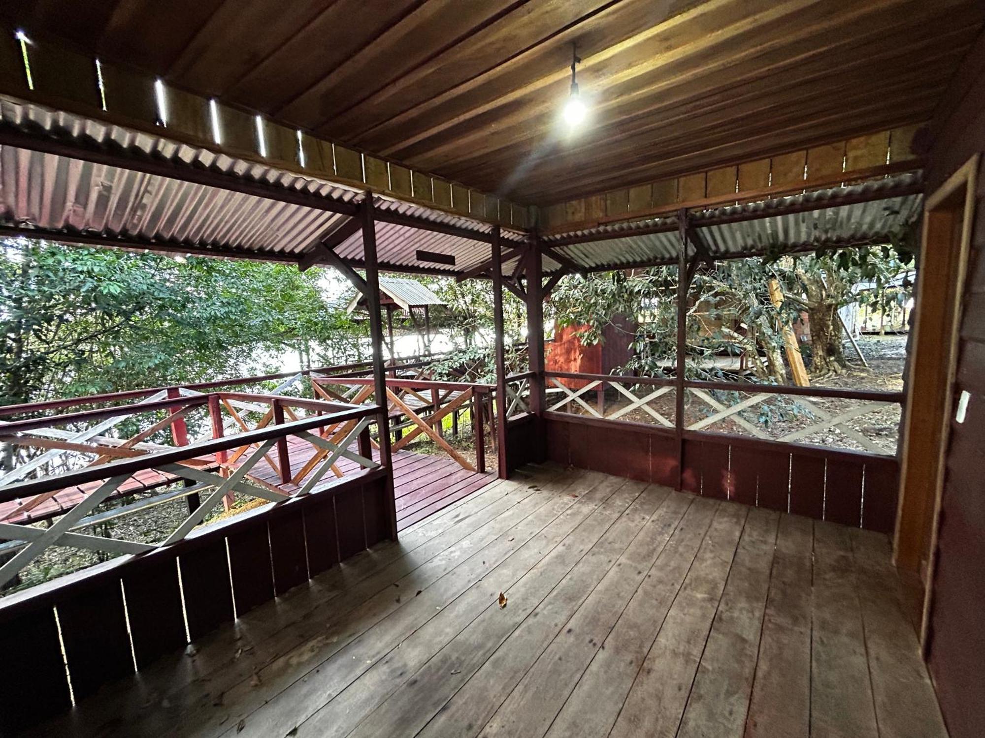 Vista Do Jungle 2* Cajual