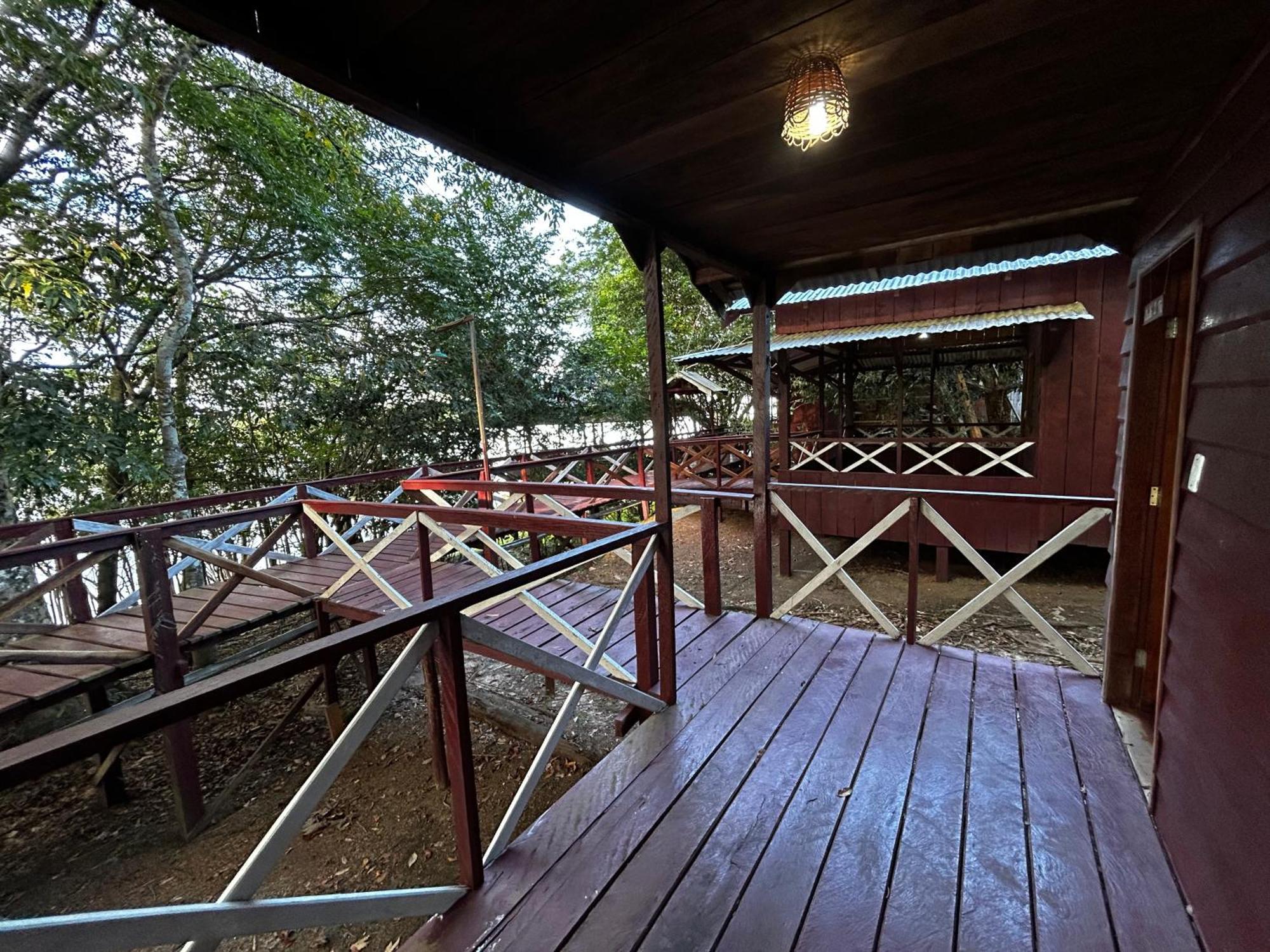 Vista Do Jungle 2*